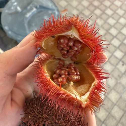 annatto3